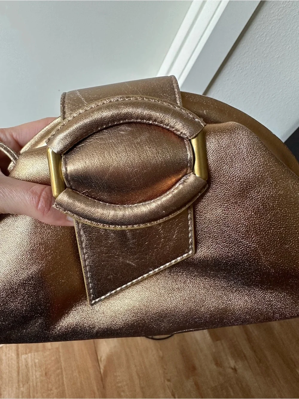 Banana Republic Mini Stella Cloud Clutch - Metallic Bronze Leather